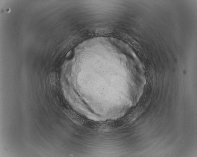 X0000071770519200607211535