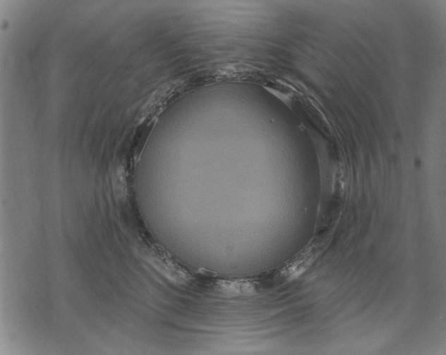 X0000071770520200607211535