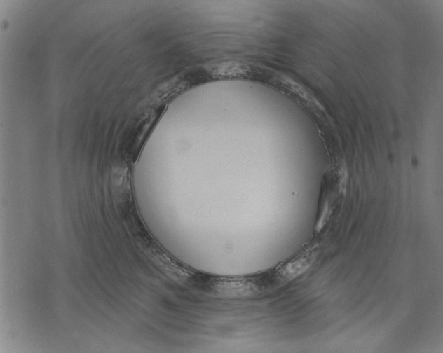 X0000071770521200607211535