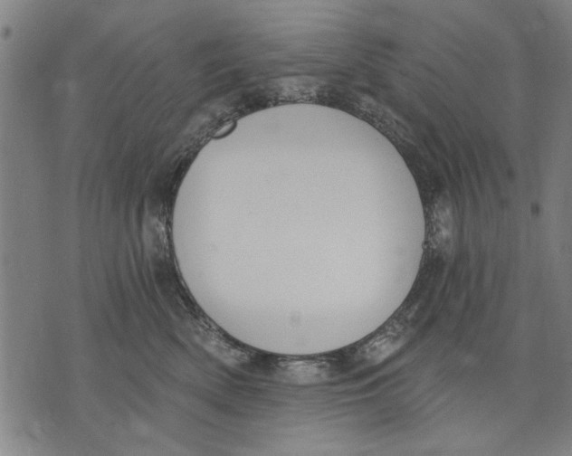 X0000071770522200607211535