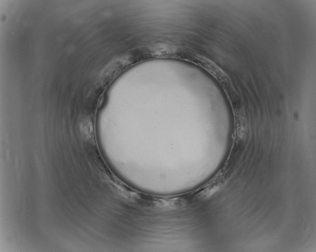 X0000071770523200607211535