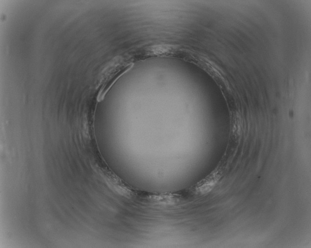 X0000071770524200607211535