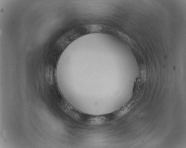 X0000071770525200607211535