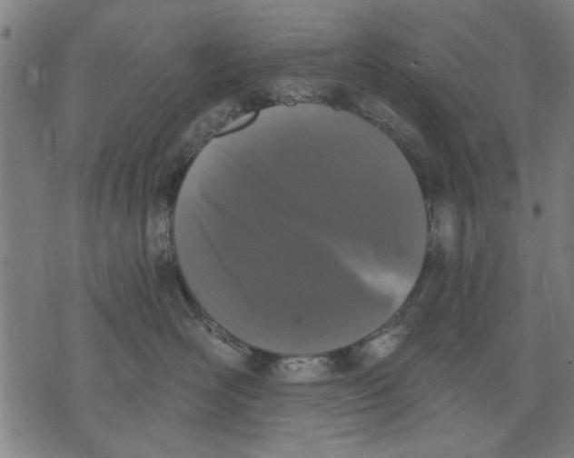 X0000071770526200607211535