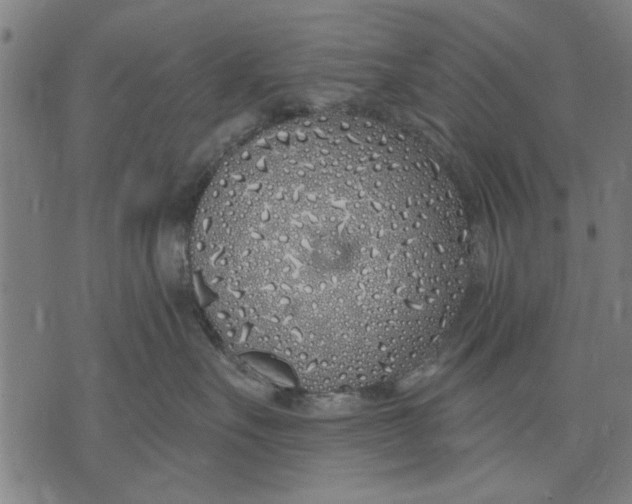 X0000071770527200607211535