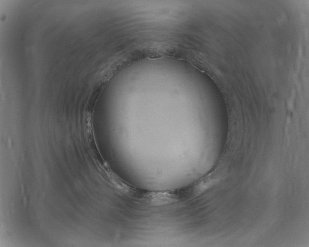 X0000071770528200607211535