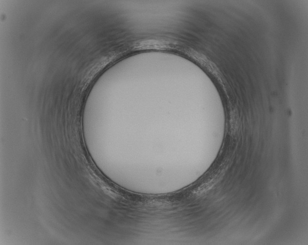 X0000071770529200607211534