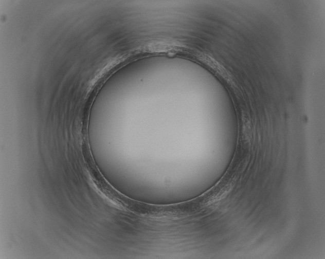 X0000071770530200607211534