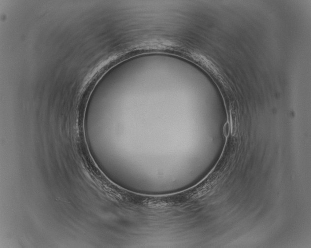 X0000071770531200607211534