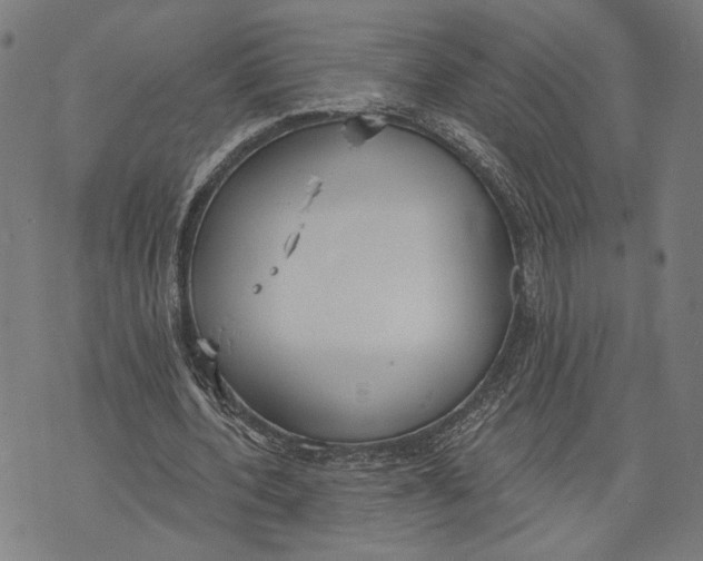 X0000071770532200607211534