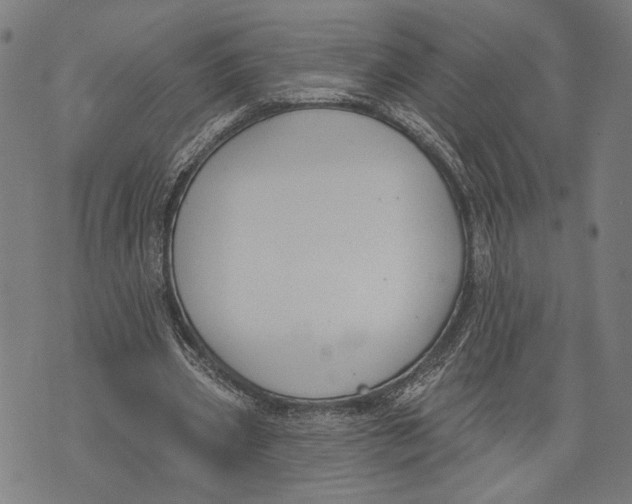 X0000071770533200607211534