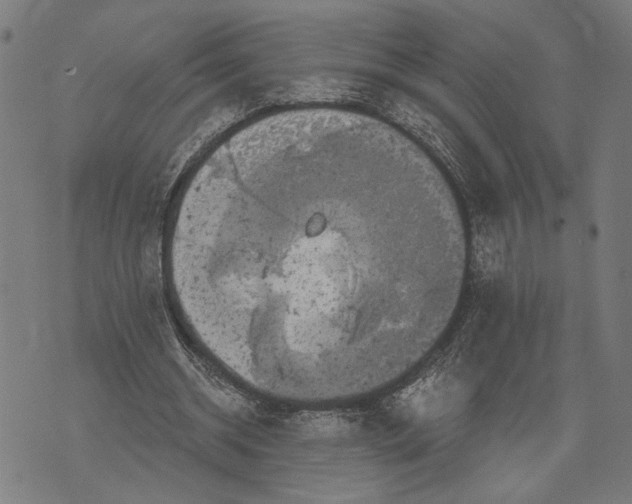 X0000071770534200607211534