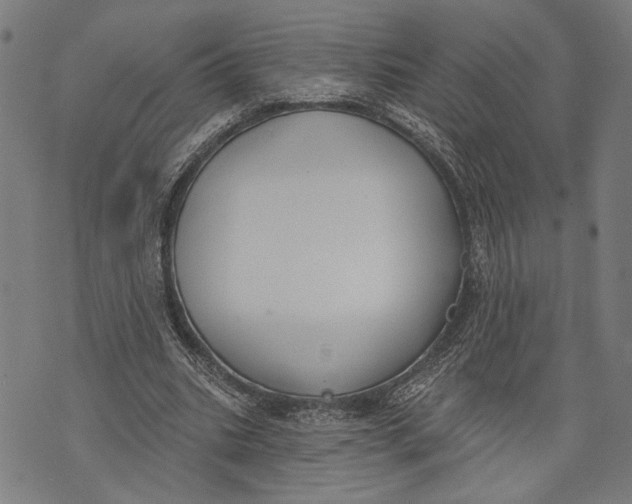 X0000071770535200607211534