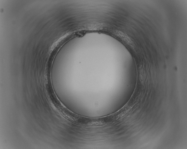 X0000071770536200607211534