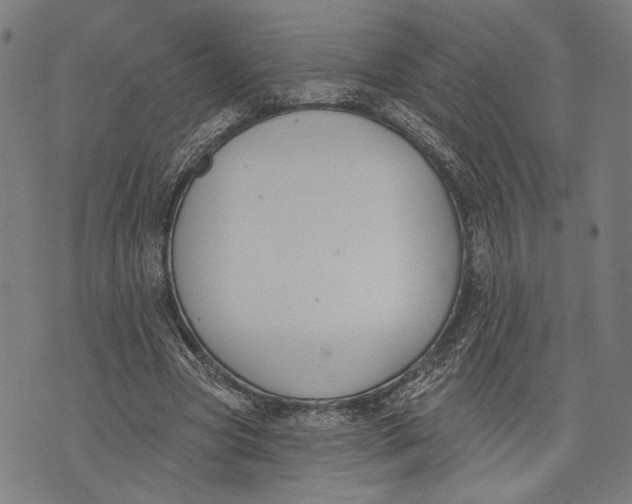 X0000071770537200607211534