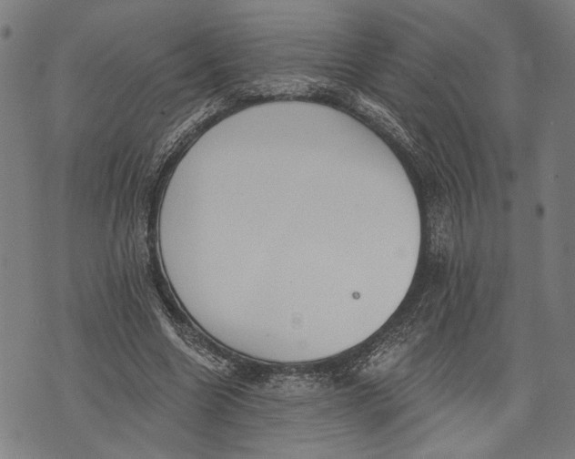 X0000071770538200607211534