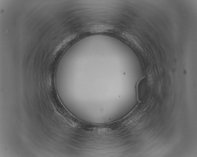 X0000071770539200607211534