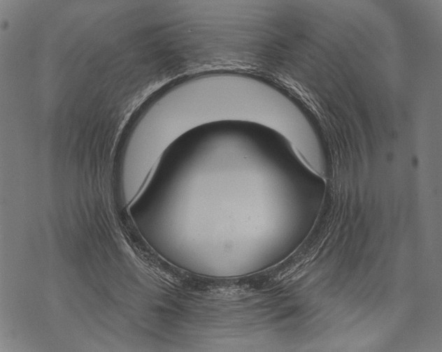 X0000071770540200607211534