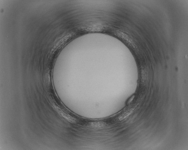 X0000071770541200607211534