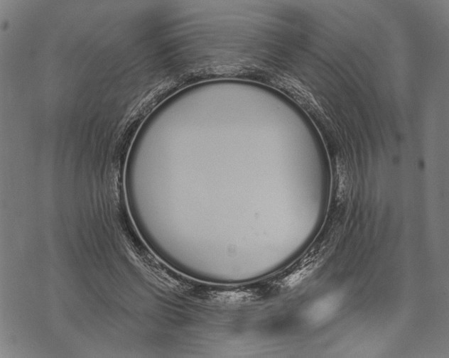 X0000071770542200607211534