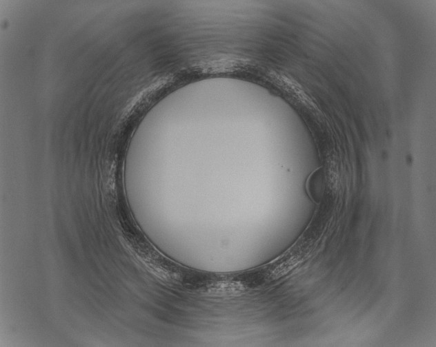 X0000071770543200607211534