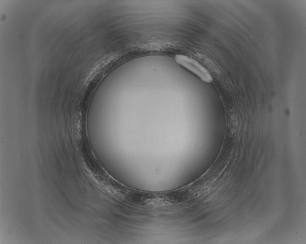 X0000071770544200607211534