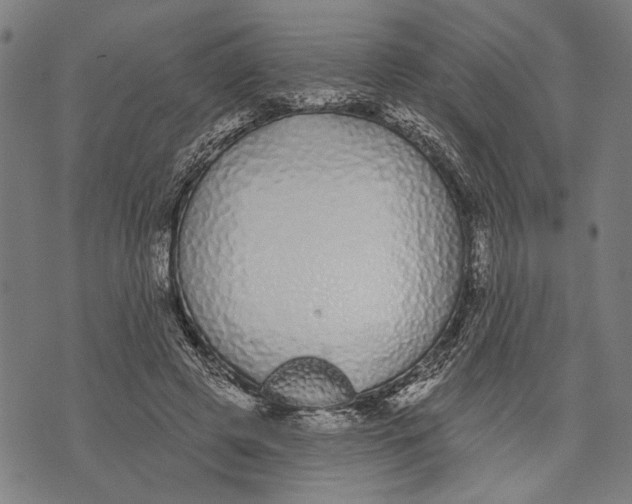 X0000071770545200607211534