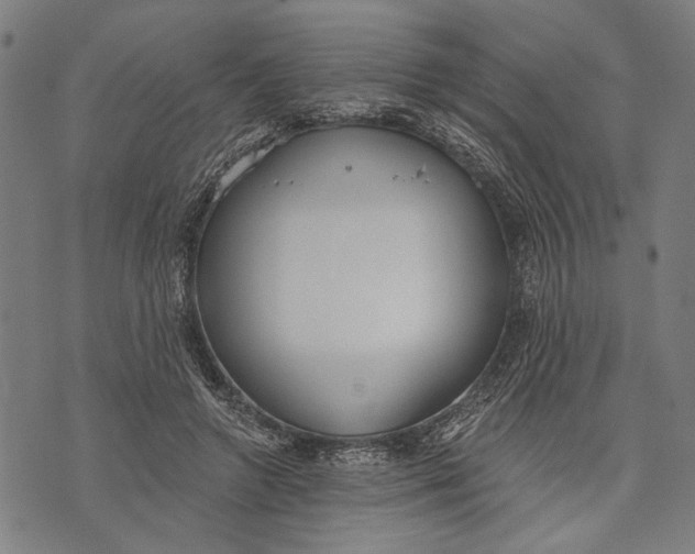 X0000071770546200607211534