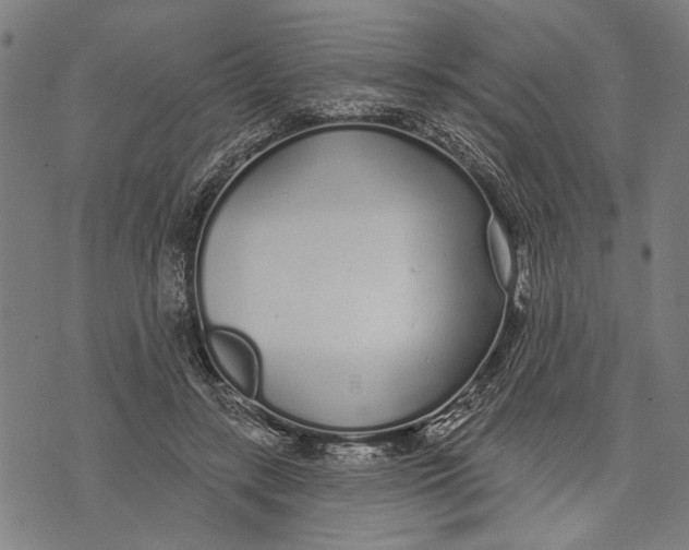 X0000071770547200607211534