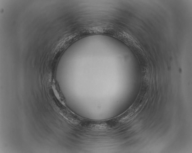 X0000071770548200607211534