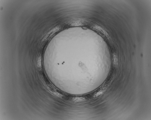 X0000071770549200607211534