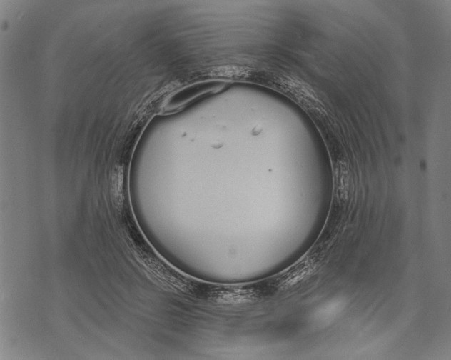 X0000071770550200607211534