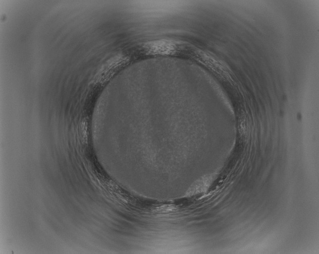 X0000071770551200607211534