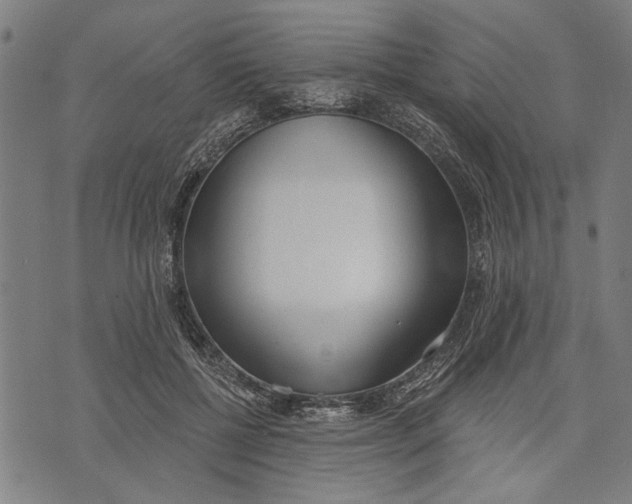 X0000071770552200607211534