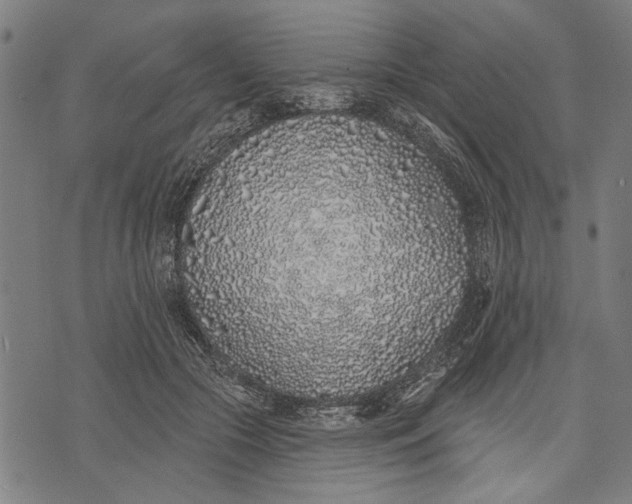 X0000071770553200607211534