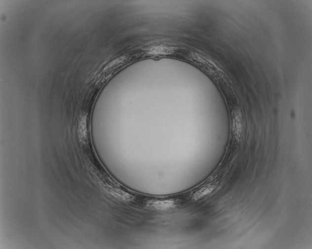 X0000071770554200607211534