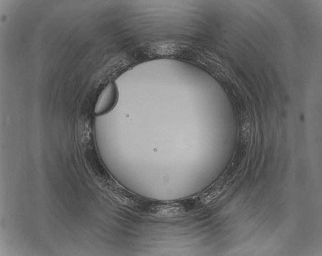 X0000071770555200607211534