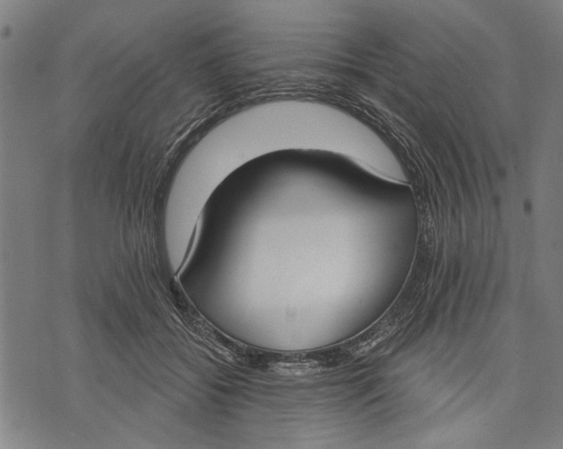 X0000071770556200607211534