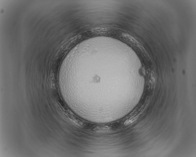 X0000071770557200607211534