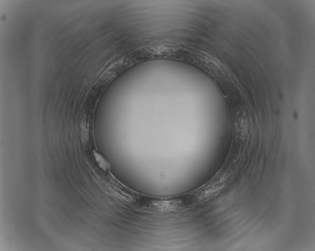 X0000071770558200607211534