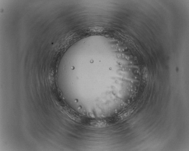 X0000071770559200607211534