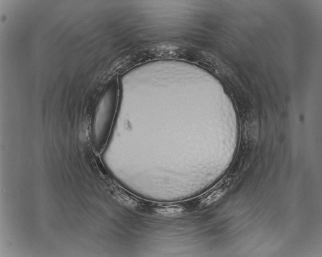 X0000071770561200607211534