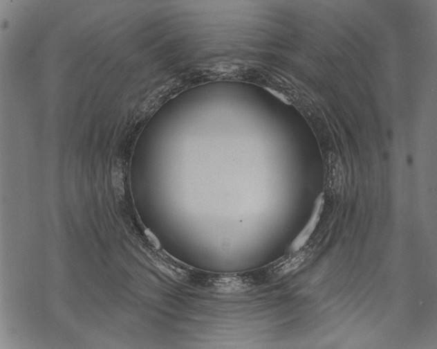 X0000071770562200607211535