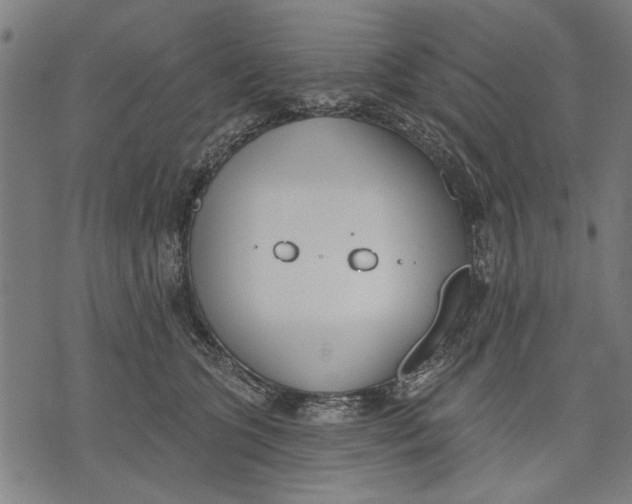 X0000071770563200607211535