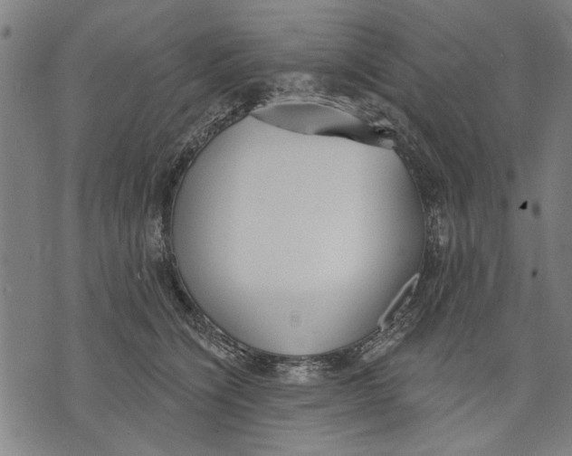 X0000071770564200607211535