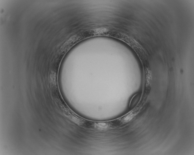 X0000071770565200607211535