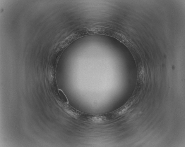 X0000071770566200607211535