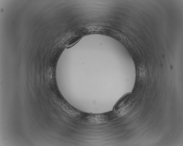 X0000071770567200607211535