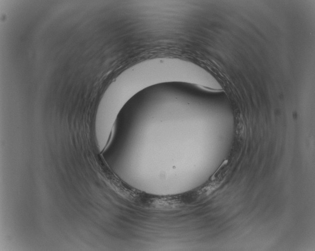 X0000071770568200607211535