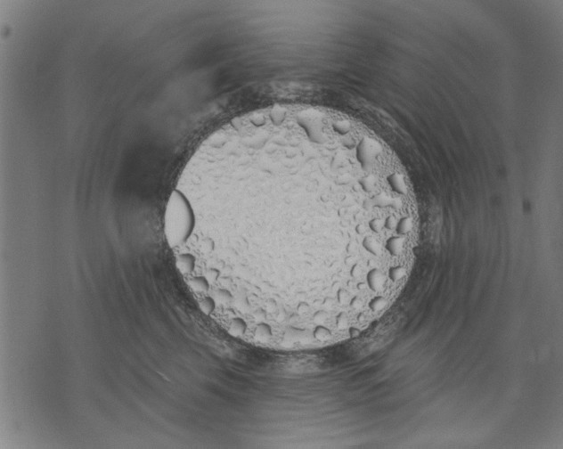 X0000071770569200607211535